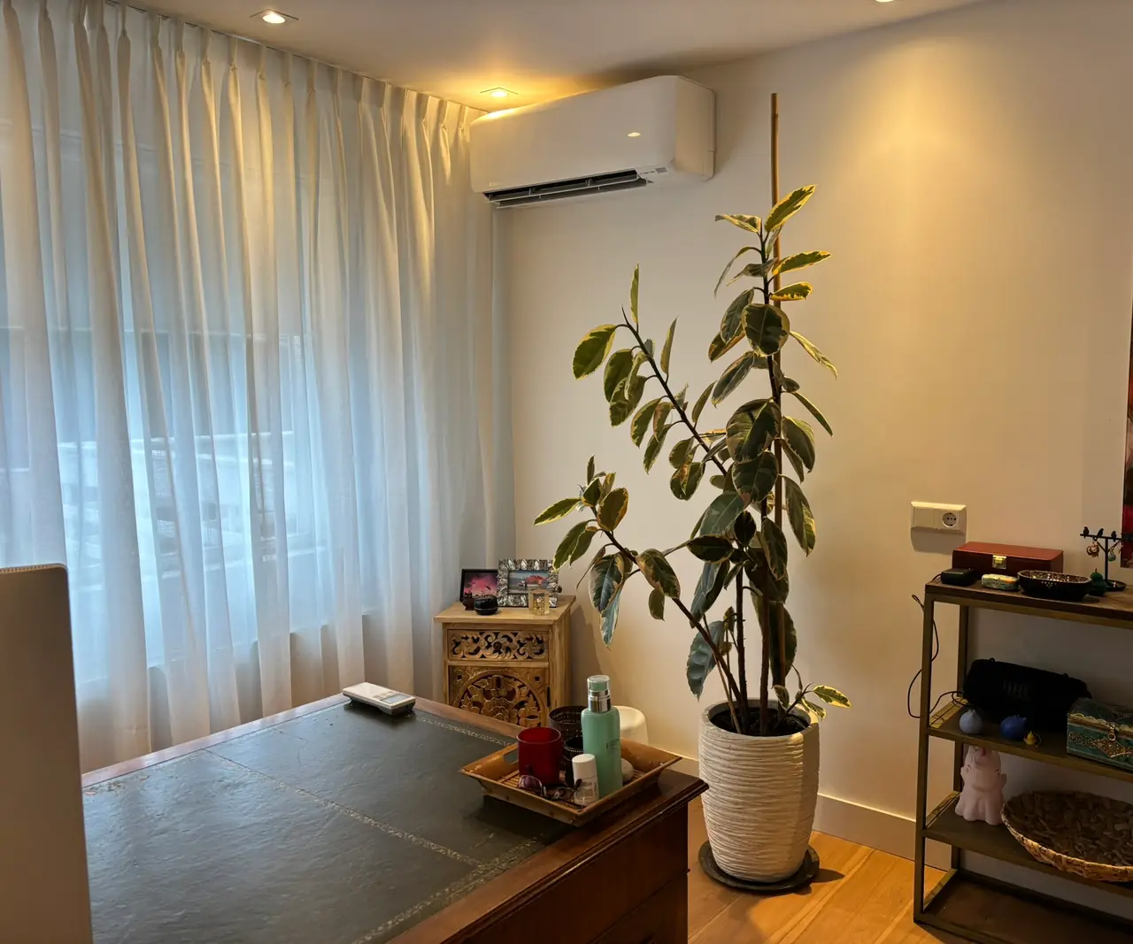 Een kamer met vitrage, een rubberplant en een antiek bureau, en een wit wandmodel boven het raam.